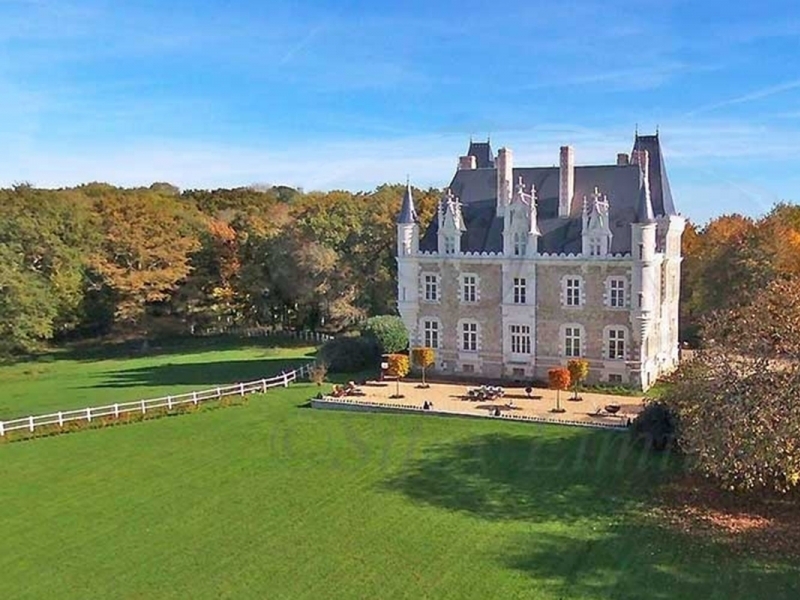 Castle For Sale, CHATEAU GONTIER, 53200, FRANCE