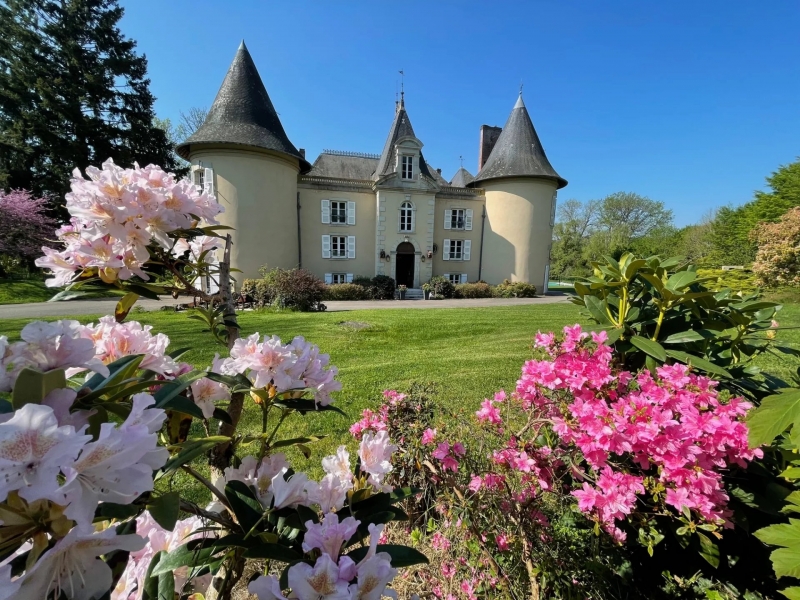 Castle For Sale, EYJEAUX, 87220, FRANCE