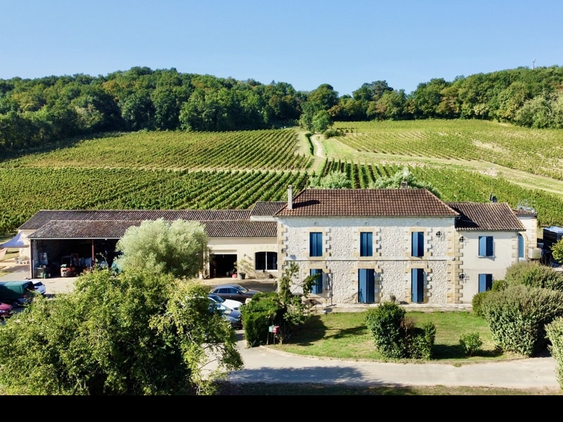 Vineyard For Sale, BERGERAC, 24100, FRANCE