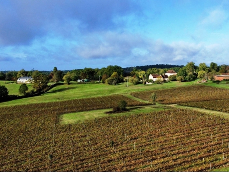 Vineyard For Sale, BERGERAC, 24100, FRANCE