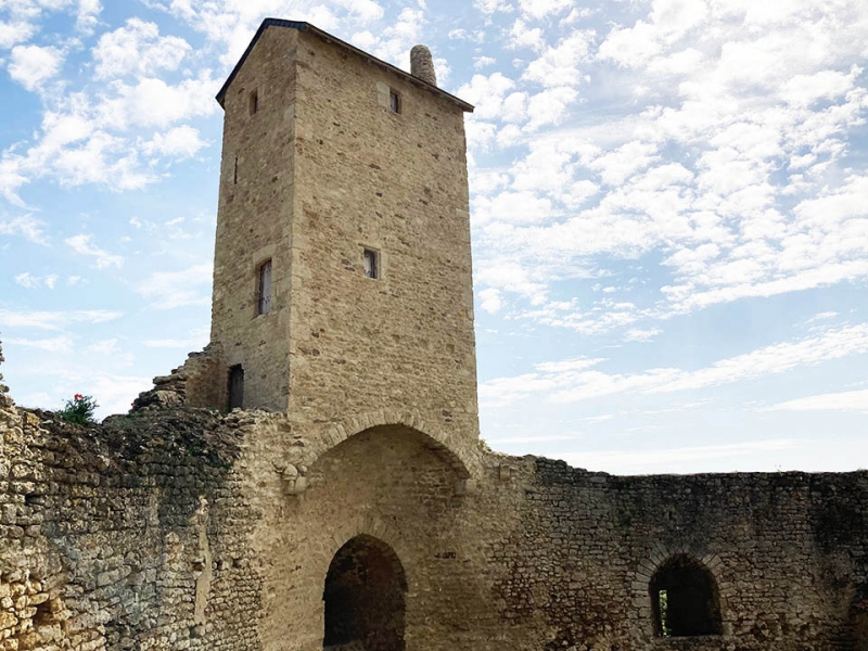 Castle For Sale, Airvault, 79600, FRANCE