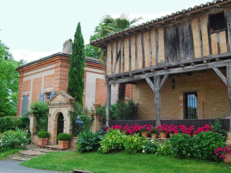 Chartreuse For Sale, Blagnac, 31700, FRANCE