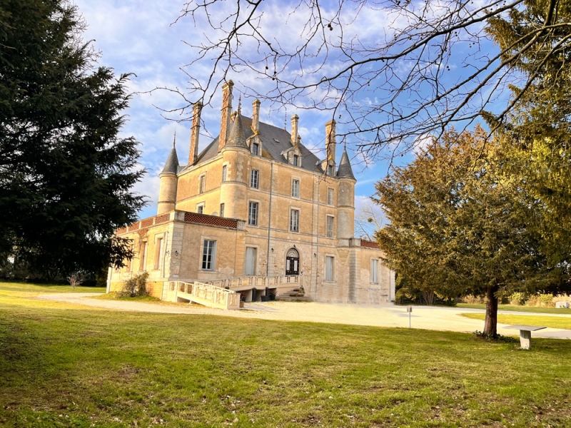 Castle For Sale, CHANTONNAY, 85110, FRANCE
