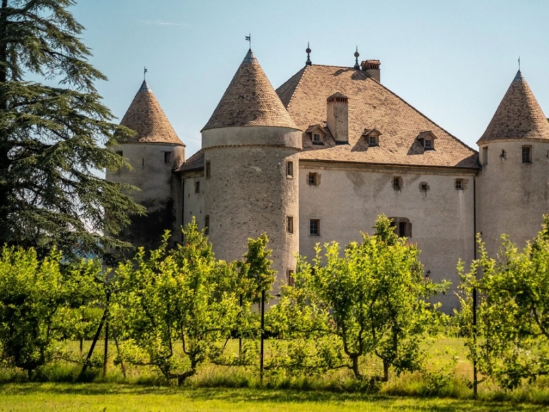 Castle For Sale, BONS-EN-CHABLAIS, 74890, FRANCE