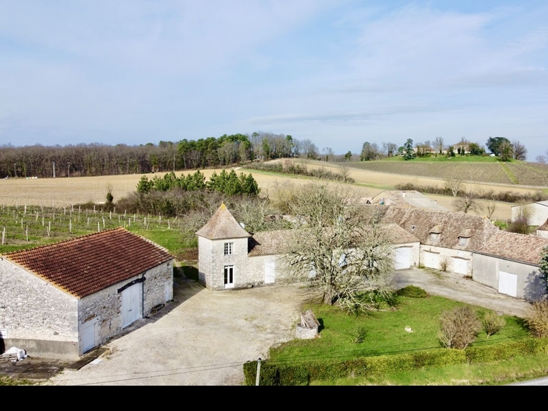 Vineyard For Sale, BERGERAC, 24100, FRANCE