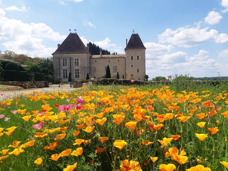 Castle For Sale, agen , 47200, FRANCE