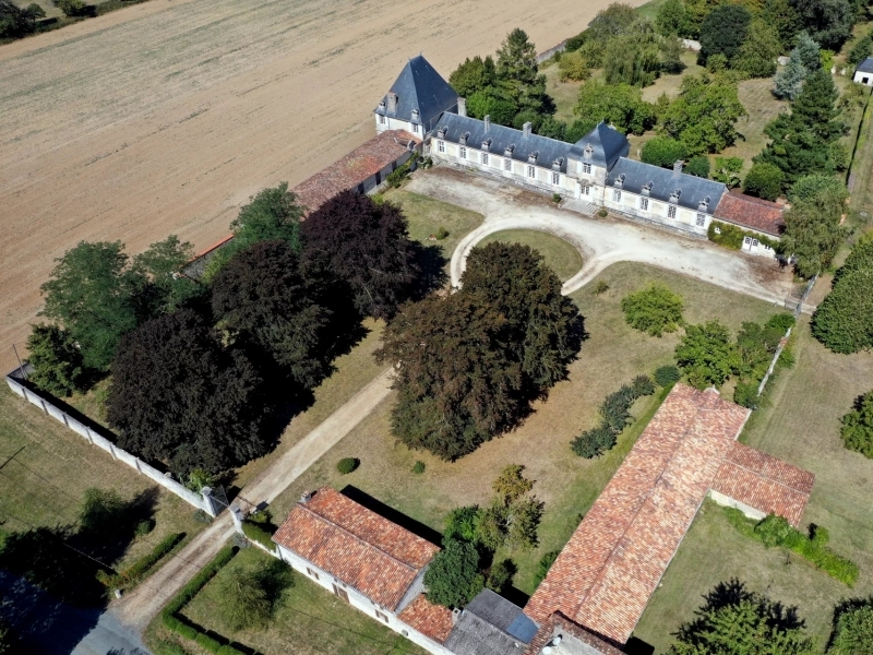 Castle For Sale, BUSSAC-SUR-CHARENTE, 17100, FRANCE