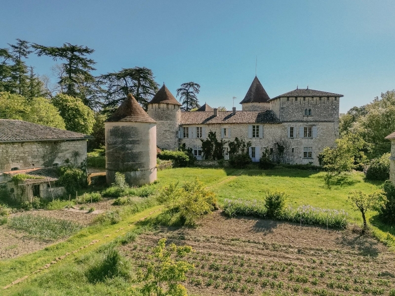Castle For Sale, PAUILHAC, 32500, FRANCE