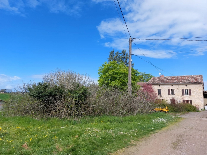 Vineyard For Sale, CORDES-SUR-CIEL, 81170, FRANCE