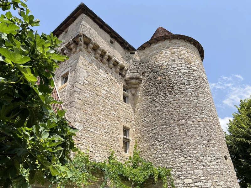 Castle For Sale, AMBEYRAC, 12260, FRANCE