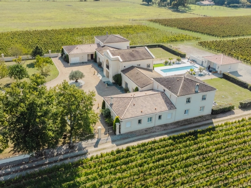 Vineyard For Sale, SAINT-SAUVEUR, 33250, FRANCE