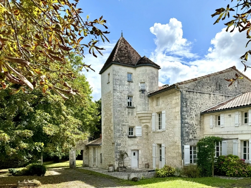 Manor House For Sale, SAINT-MICHEL, 16470, FRANCE