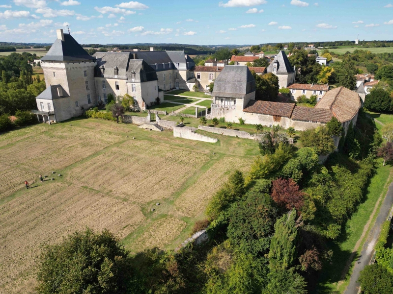 Castle For Sale, ANGOULEME, 16000, FRANCE