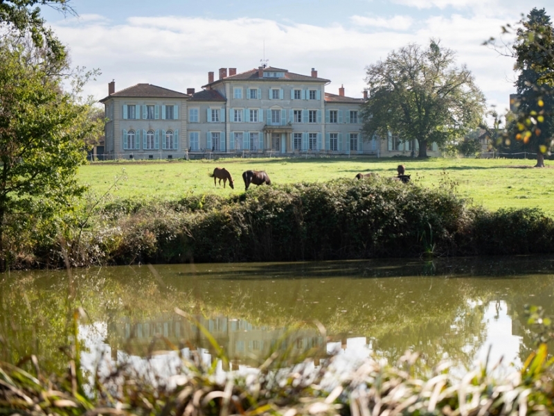Castle For Sale, FEURS, 42110, FRANCE