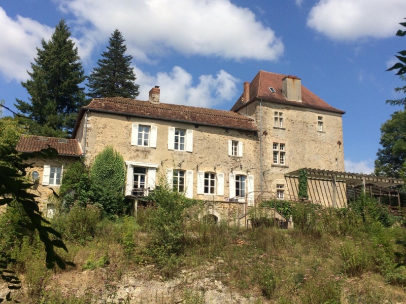 Castle For Sale, SAINT JORY DE CHALAIS, 24800, FRANCE