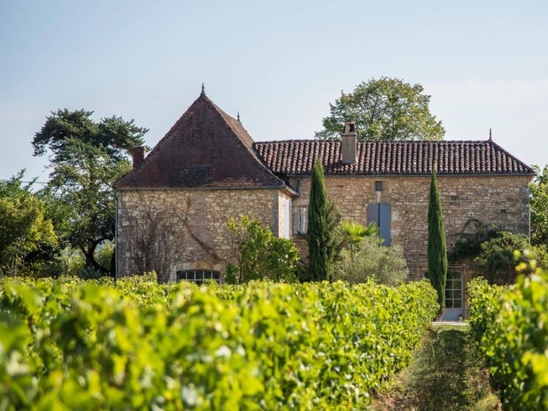 Vineyard For Sale, PUY-L'EVEQUE, 46700, FRANCE