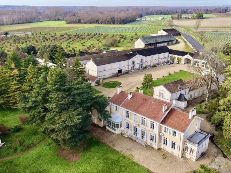 Domaine For Sale, COGNAC, 16100, FRANCE