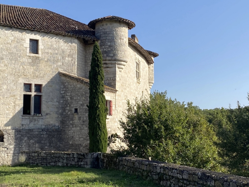 Castle For Sale, AGEN, 47000, FRANCE