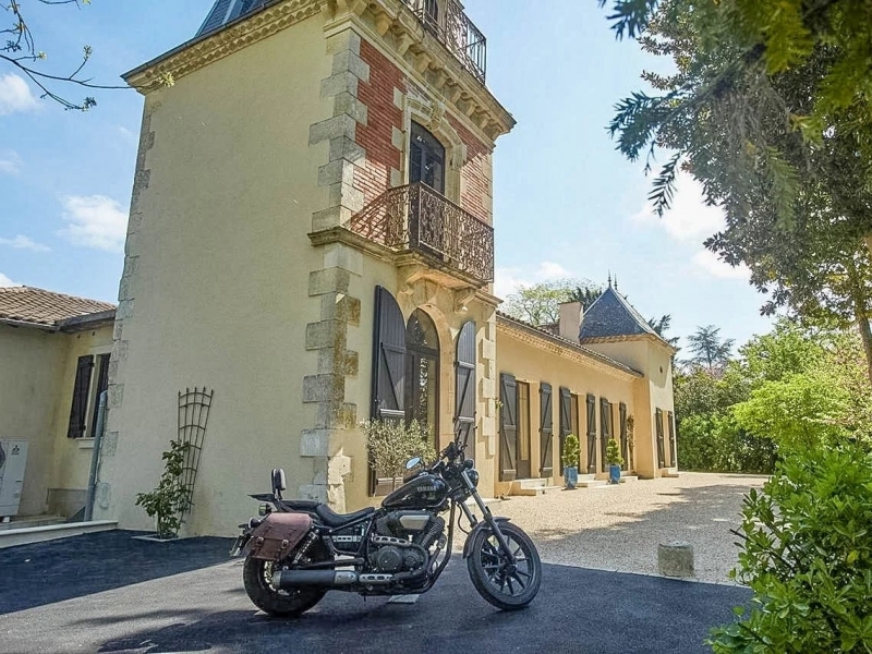 Chartreuse For Sale, NERAC, 47600, FRANCE