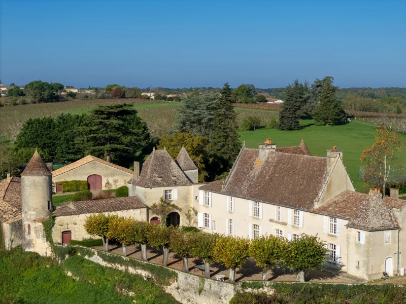 Vineyard For Sale, CASTILLON-LA-BATAILLE, 33350, FRANCE