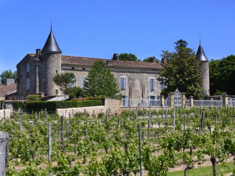 Castle For Sale, BORDEAUX, 33000, FRANCE