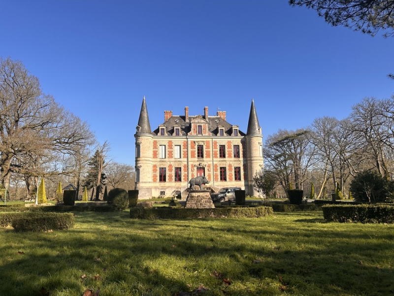 Castle For Sale, BOURNEZEAU, 85480, FRANCE