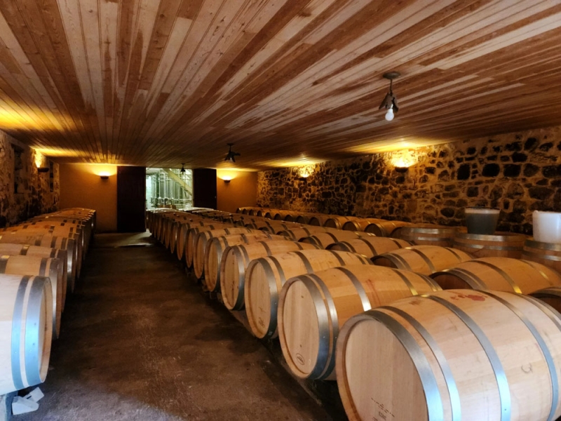 Vineyard For Sale, SAINT-EMILION, 33330, FRANCE