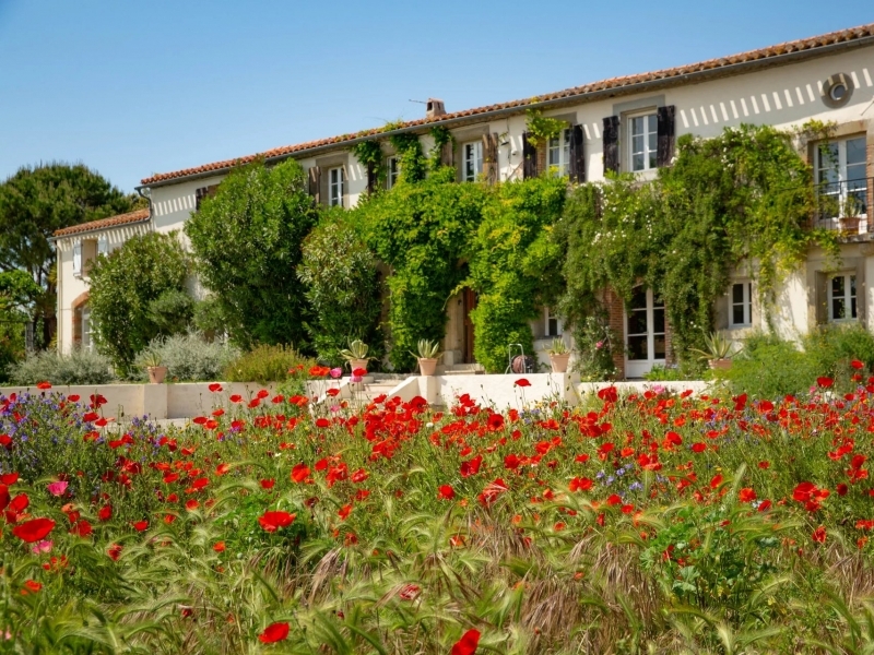 Domaine For Sale, MONTREAL, 11290, FRANCE