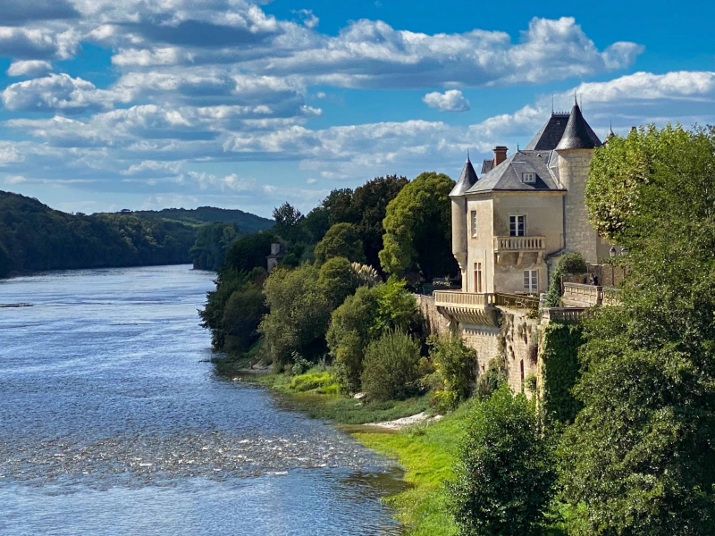 Castle For Sale, COUZE-ET-SAINT-FRONT, 24150, FRANCE
