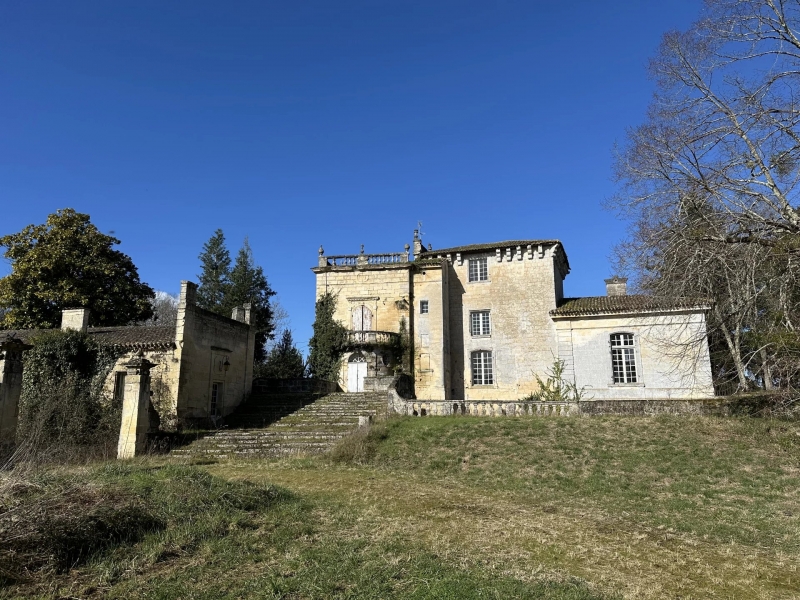 Castle For Sale, LUSSAC, 33570, FRANCE