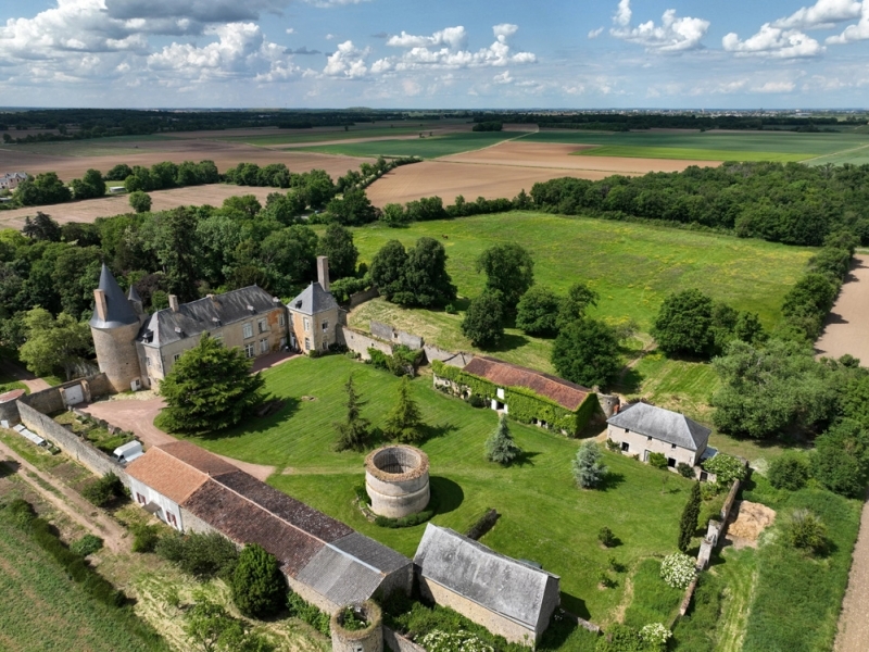 Castle For Sale, SAINT-JEAN-DE-THOUARS, 79100, FRANCE