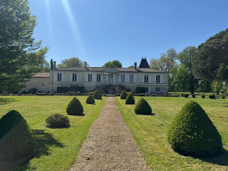 Chartreuse For Sale, CADARSAC, 33750, FRANCE