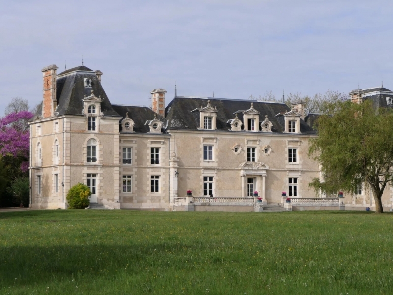 Castle For Sale, FLEURE, 86340, FRANCE