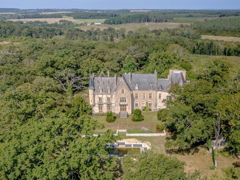 Castle For Sale, LA GUERCHE-SUR-L'AUBOIS, 18150, FRANCE
