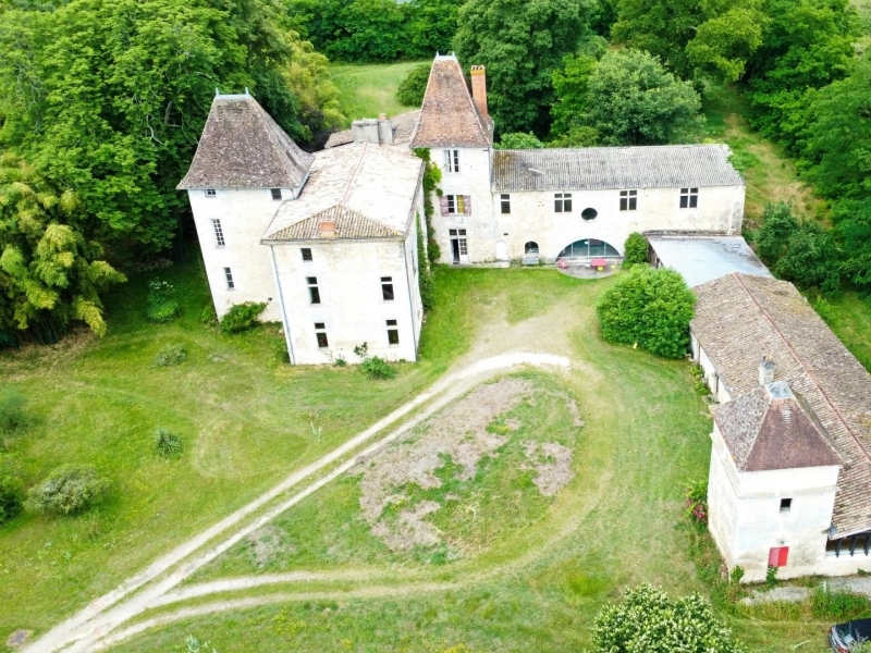 Castle For Sale, VILLENAVE-D'ORNON, 33140, FRANCE