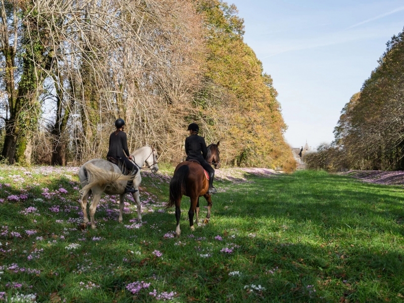 Equestrian Property For Sale, CAMBREMER, 14340, FRANCE
