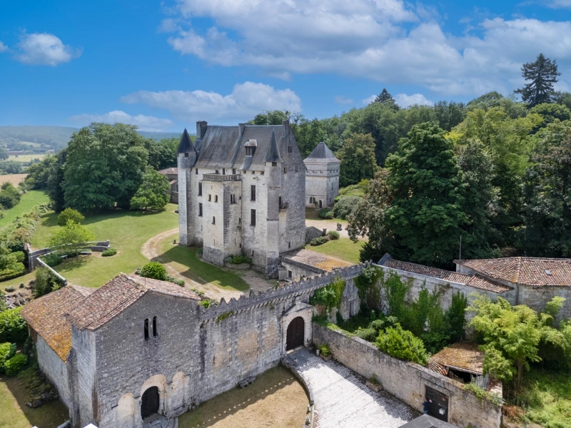 Castle For Sale, ANGOULEME, 16000, FRANCE