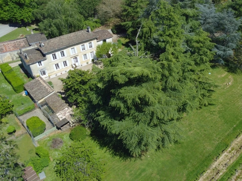 Vineyard For Sale, SAINT-MAGNE-DE-CASTILLON, 33350, FRANCE