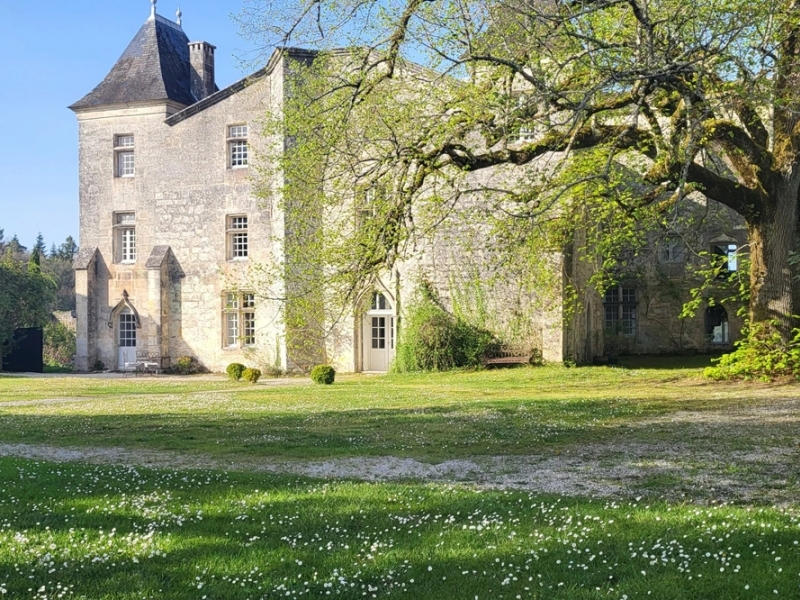 Castle For Sale, GOND-PONTOUVRE, 16160, FRANCE