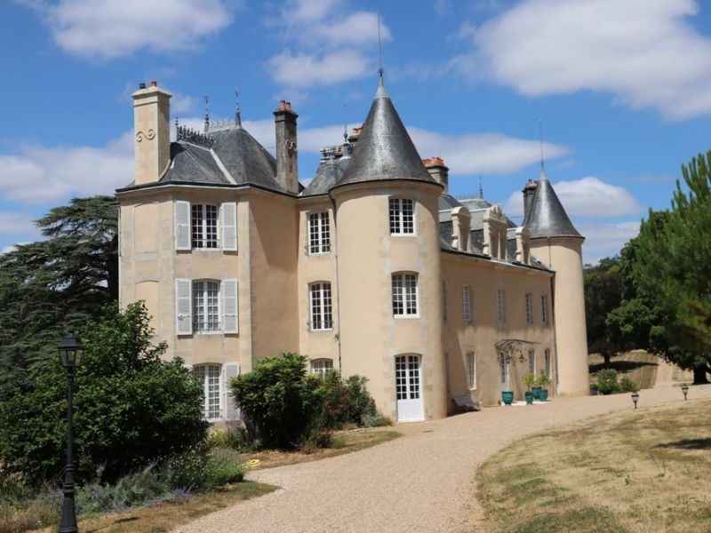 Castle For Sale, SAINT-BENOIT, 86280, FRANCE