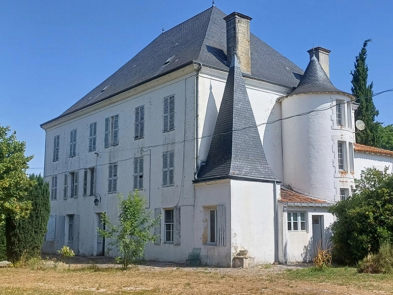 Manor House For Sale, LES GOURS, 16140, FRANCE
