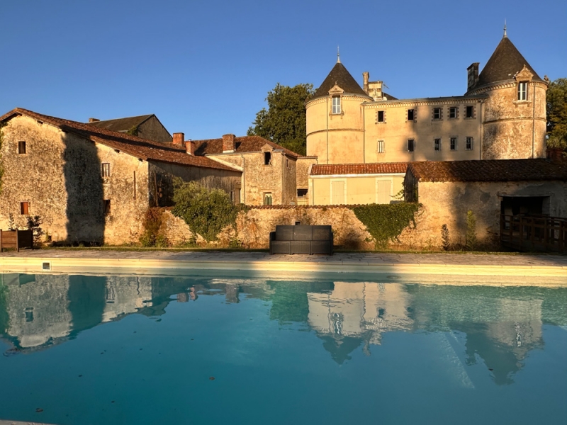 Castle For Sale, CHANTONNAY, 85110, FRANCE