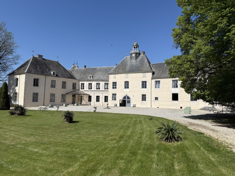 Castle For Sale, CHAUMONT, 52000, FRANCE