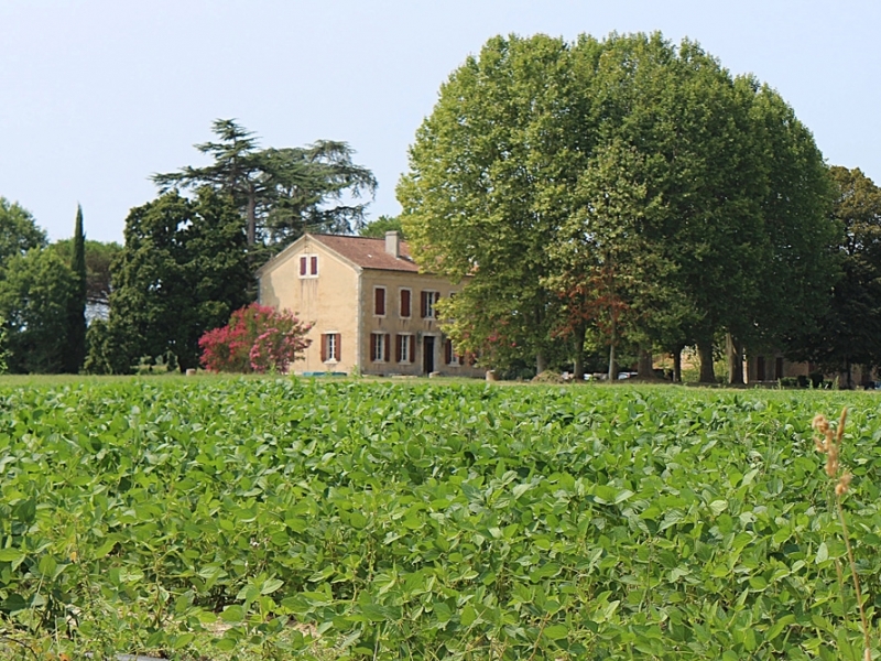 Manor House For Sale, SAINT-LEON, 47160, FRANCE