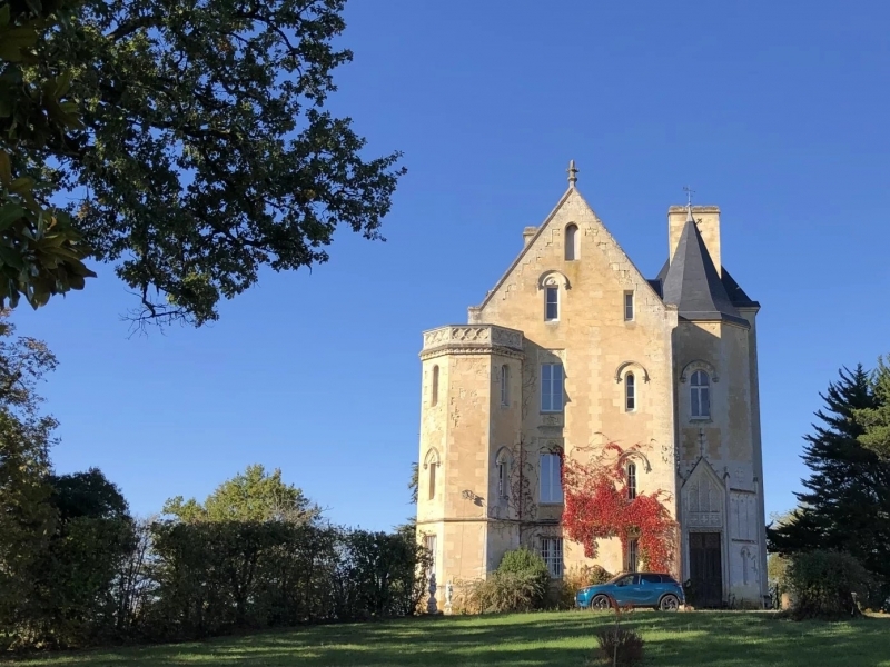 Vineyard For Sale, VILLENAVE-DE-RIONS, 33550, FRANCE