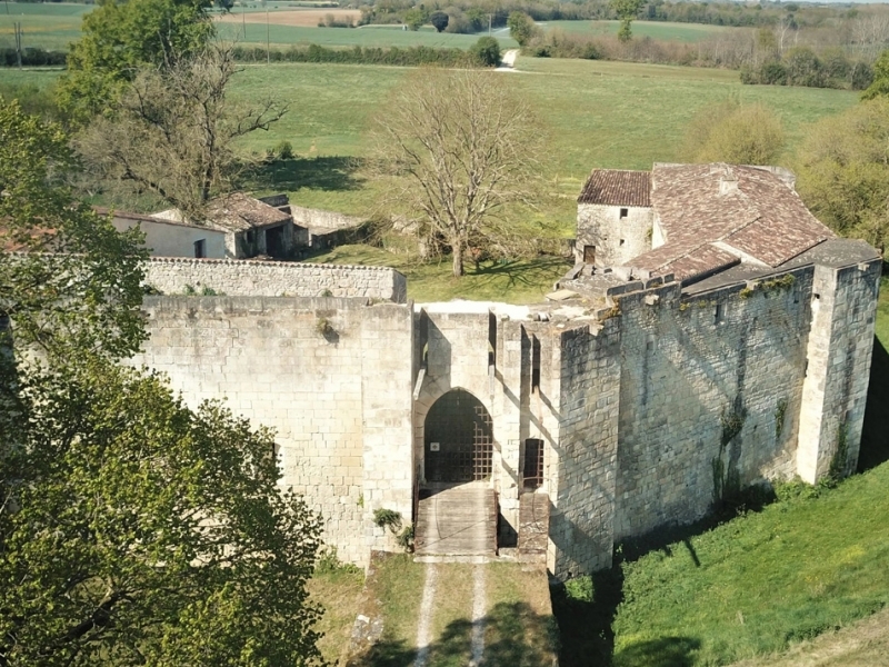Castle For Sale, BUSSAC-SUR-CHARENTE, 17100, FRANCE