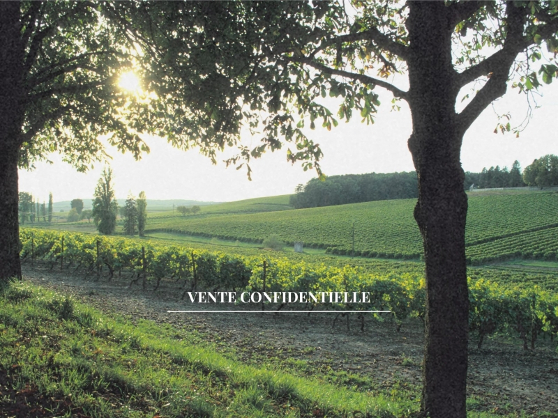 Castle For Sale, BONNEVILLE-ET-SAINT-AVIT-DE-FUMADIERES, 24230, FRANCE