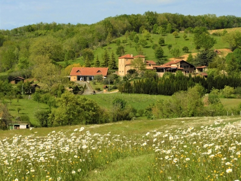 Domaine For Sale, LAMAZERE, 32300, FRANCE