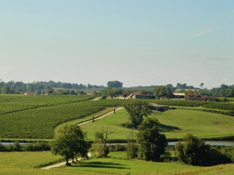 Vineyard For Sale, MAUVEZIN-D'ARMAGNAC, 40240, FRANCE