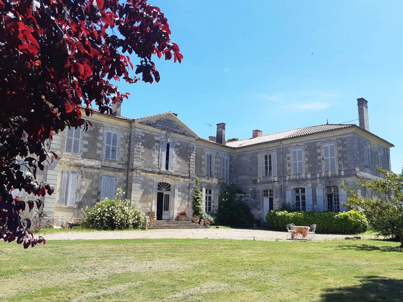 Castle For Sale, Mortagne-sur-Gironde, 17120, FRANCE